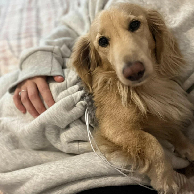 Pet Pouch Hoodie