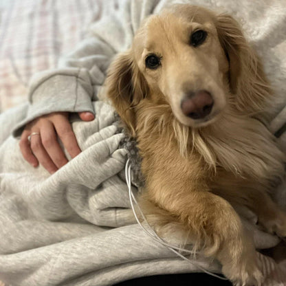 Pet Pouch Hoodie