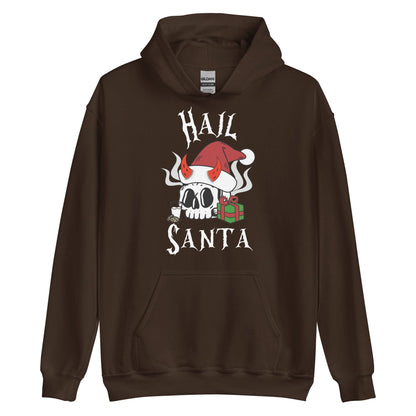 Hail Santa Hoodie