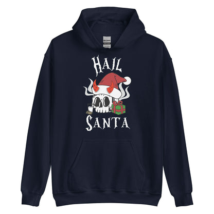 Hail Santa Hoodie
